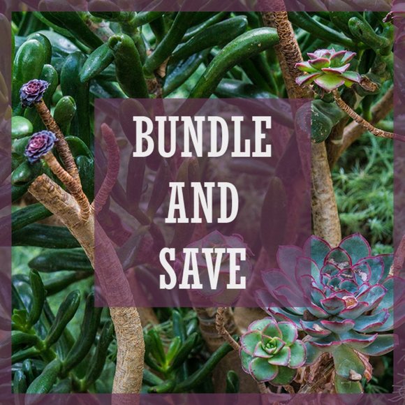 Bundle & Save! - Picture 1 of 1